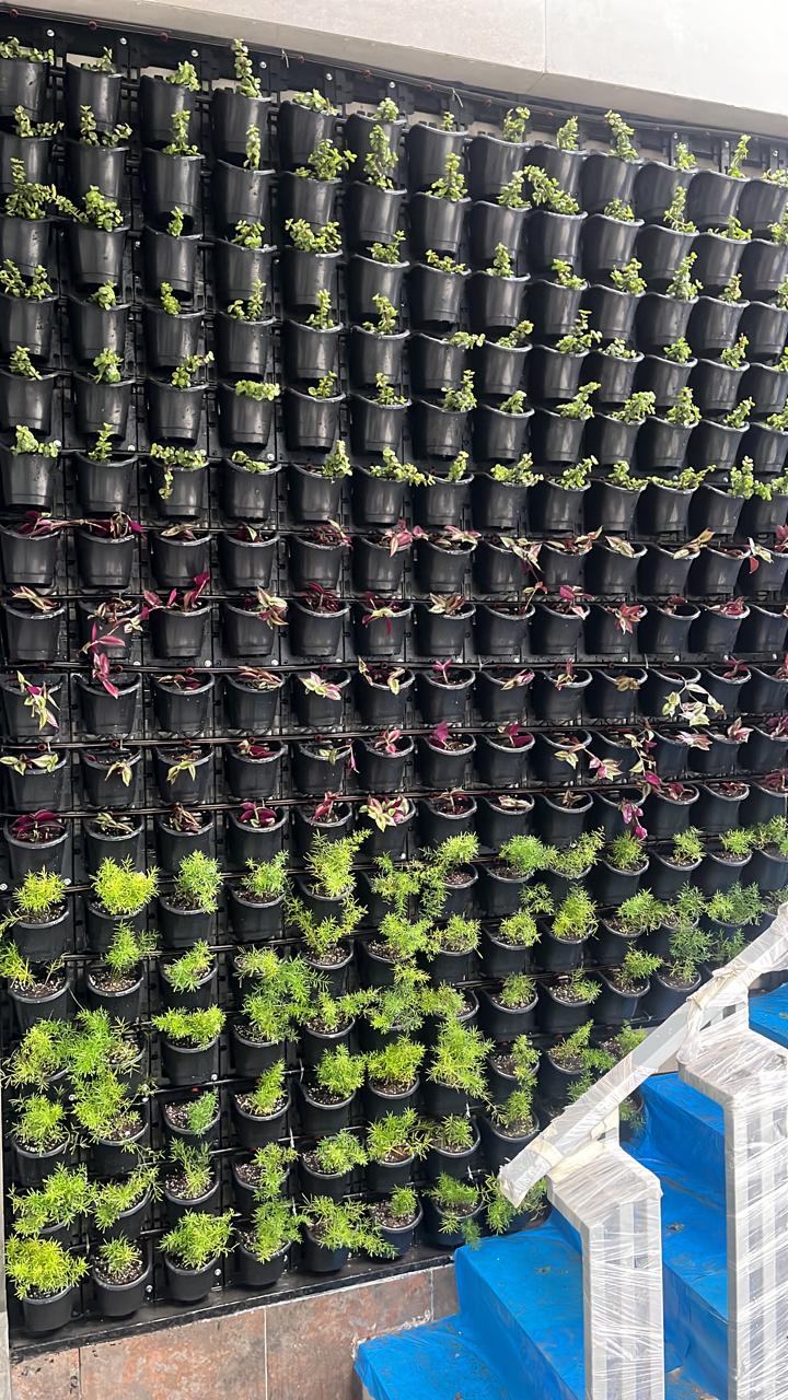 Natural vertical wall project 06